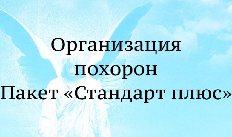 Стандарт плюс